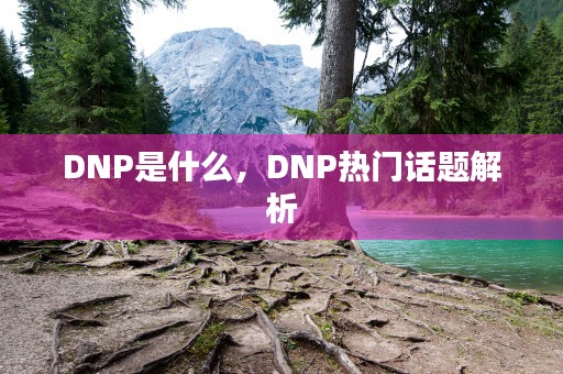 DNP是什么，DNP热门话题解析