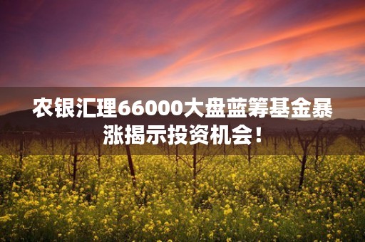 农银汇理66000大盘蓝筹基金暴涨揭示投资机会！